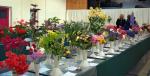 Photo of flowers on display at the Capel-le-Ferne Gardners' Show